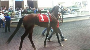 Little Daniella - Elena's race 